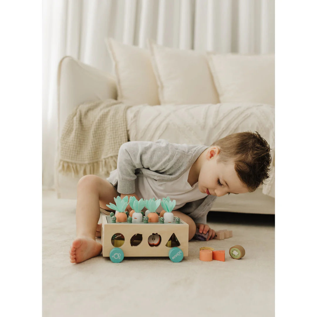 Bubble Wooden Vegetable Garden | ETA Early July