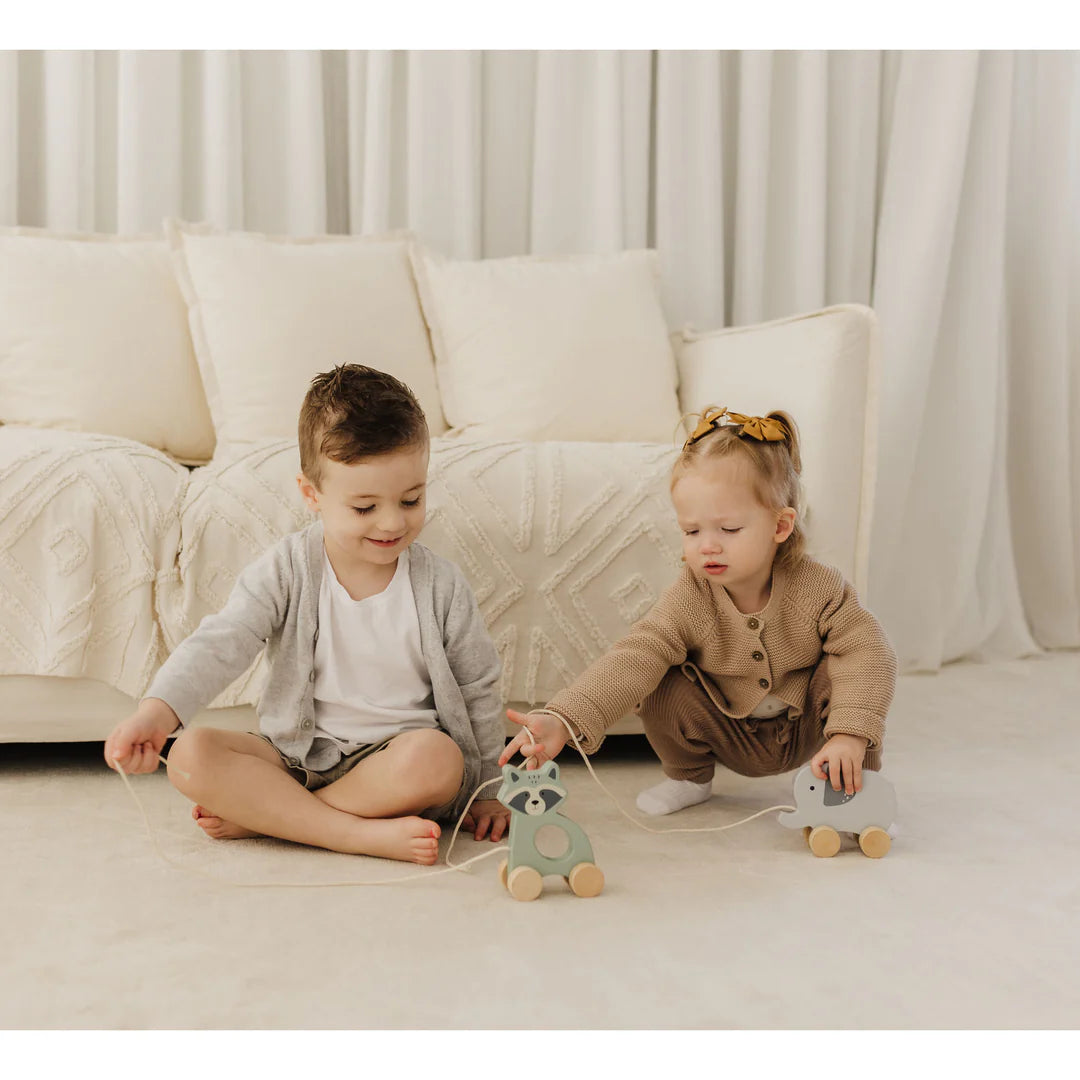 Bubble Wooden Raccoon Pull Along Toy | ETA Early SEP