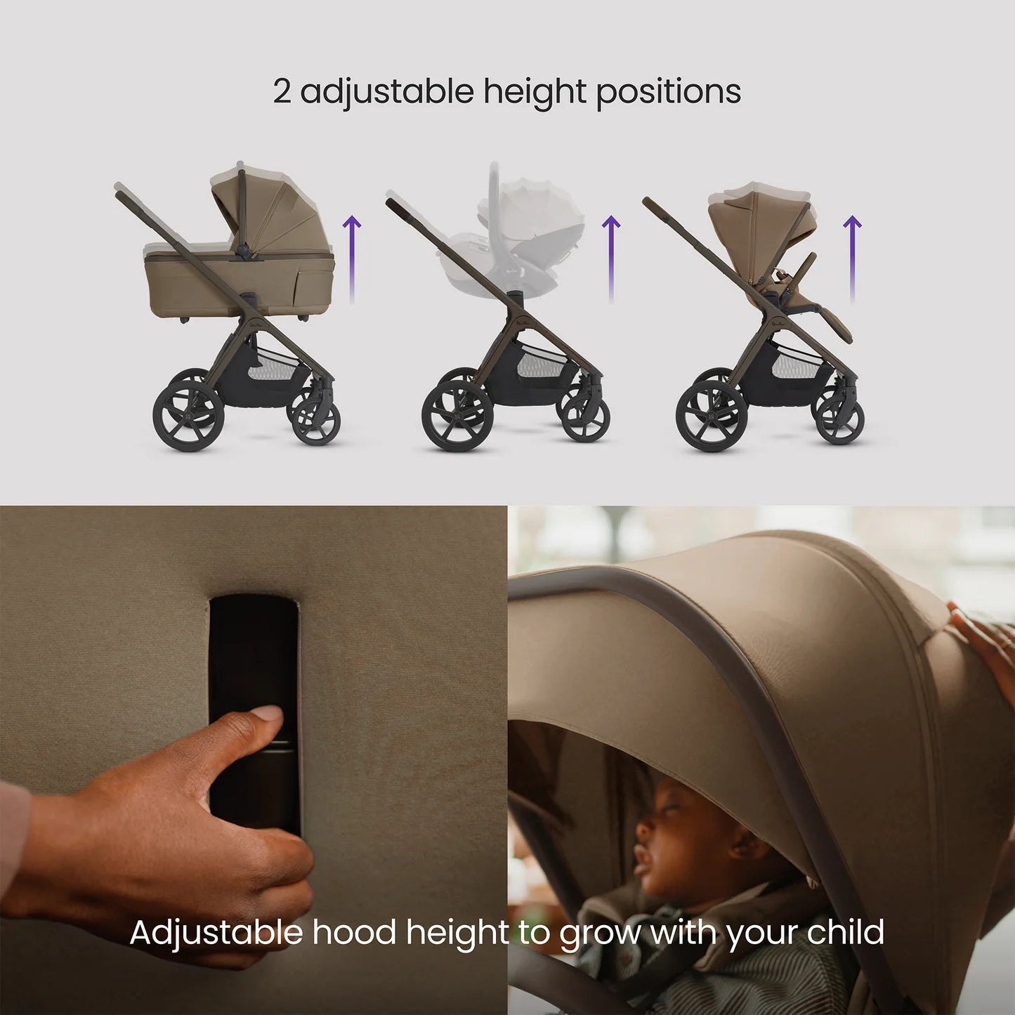 SilverCross Cove 2 with Carrycot | Maple