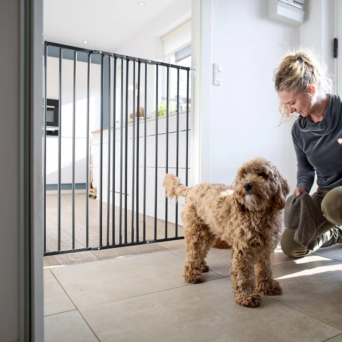 DogSpace Charlie Gate BLACK