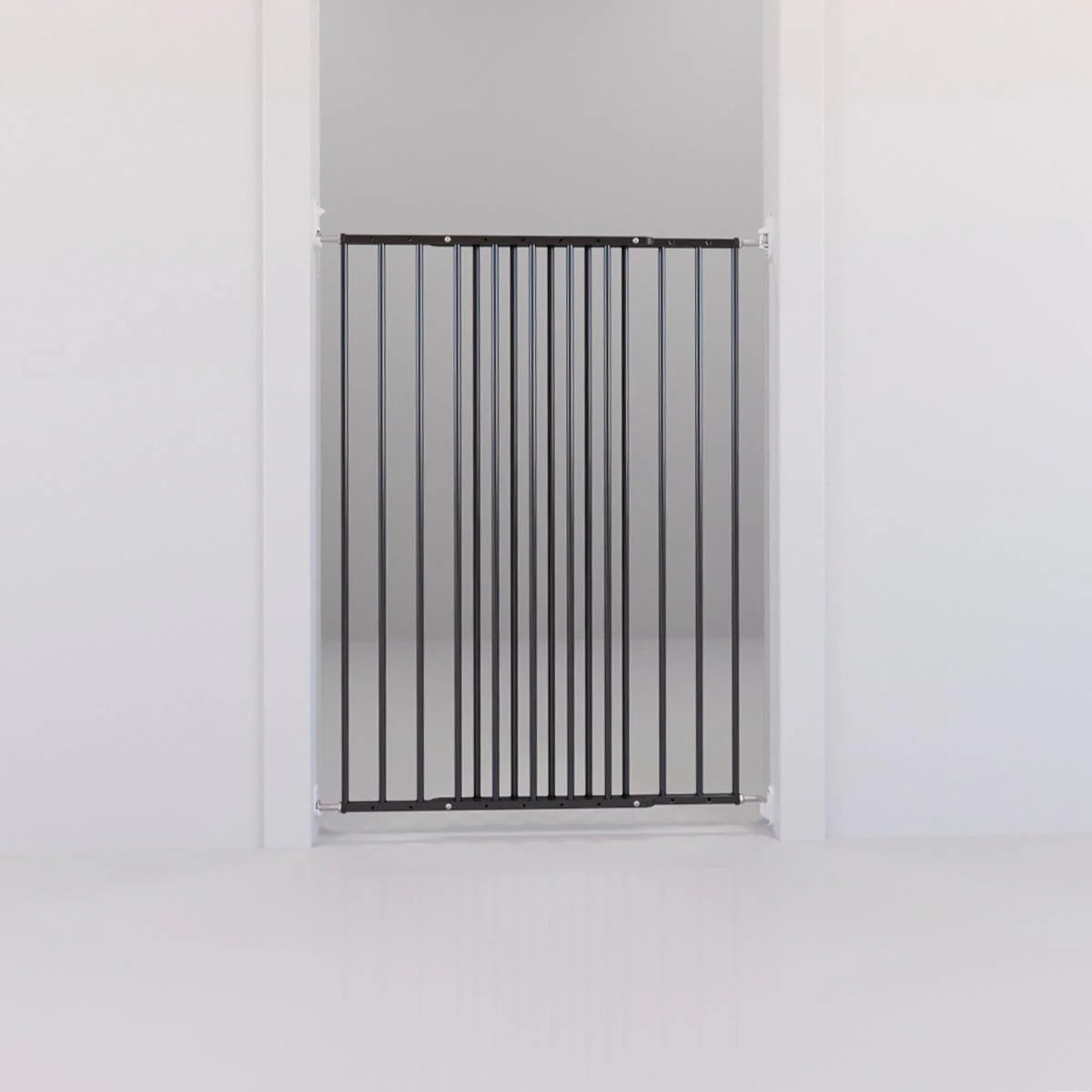 DogSpace Charlie Gate BLACK