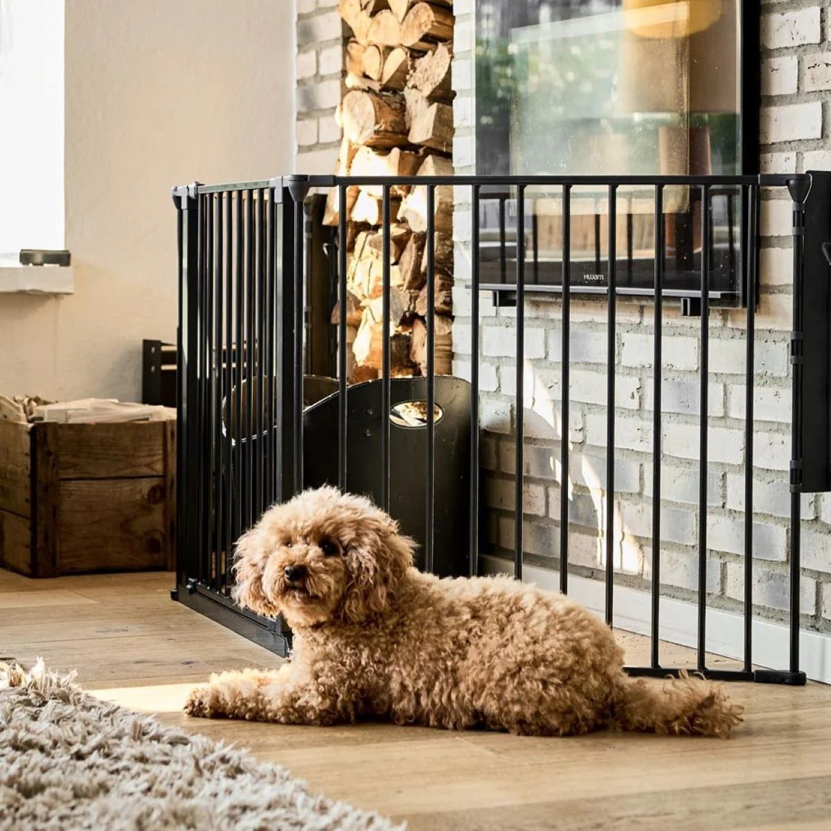 DogSpace Max System WHITE