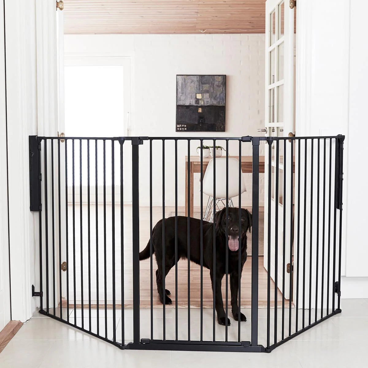 DogSpace Rocky System BLACK