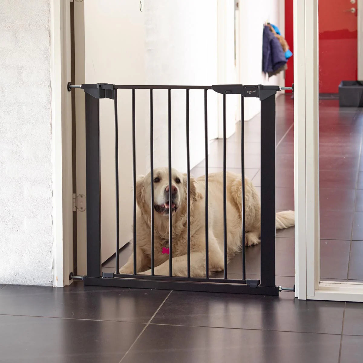 DogSpace Lassie Gate WHITE