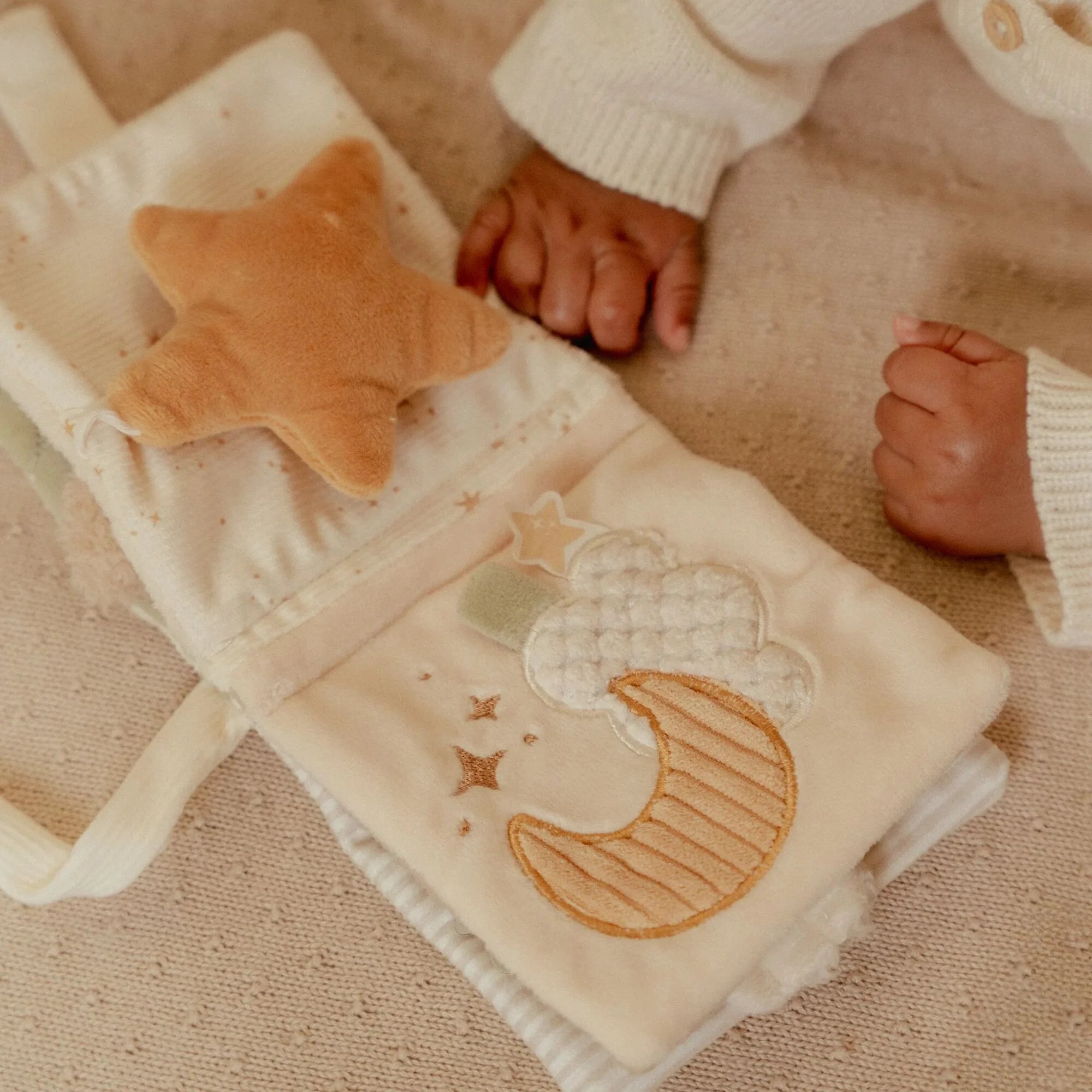 Little Dutch  Little Goose Stroller Book | ETA April 