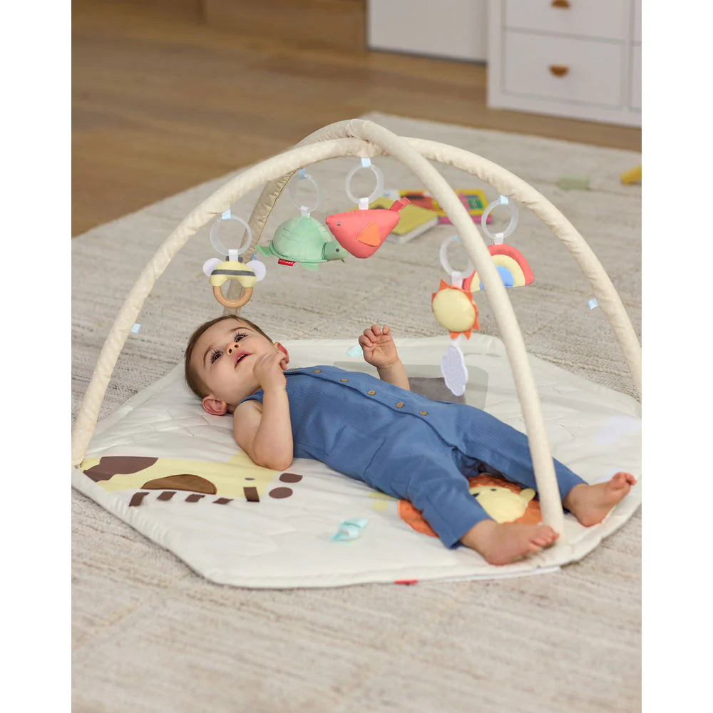 Skip Hop Geometric Wonders Activity Gym 