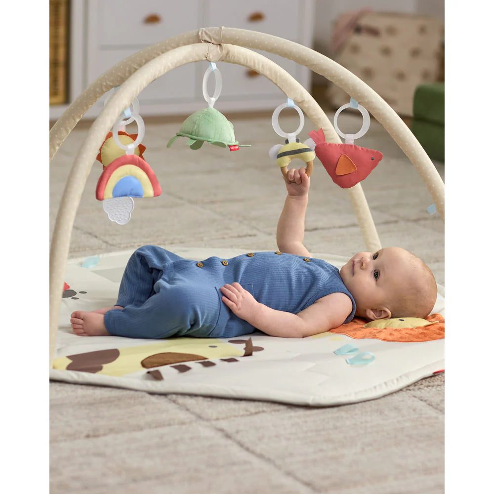 Skip Hop Geometric Wonders Activity Gym 