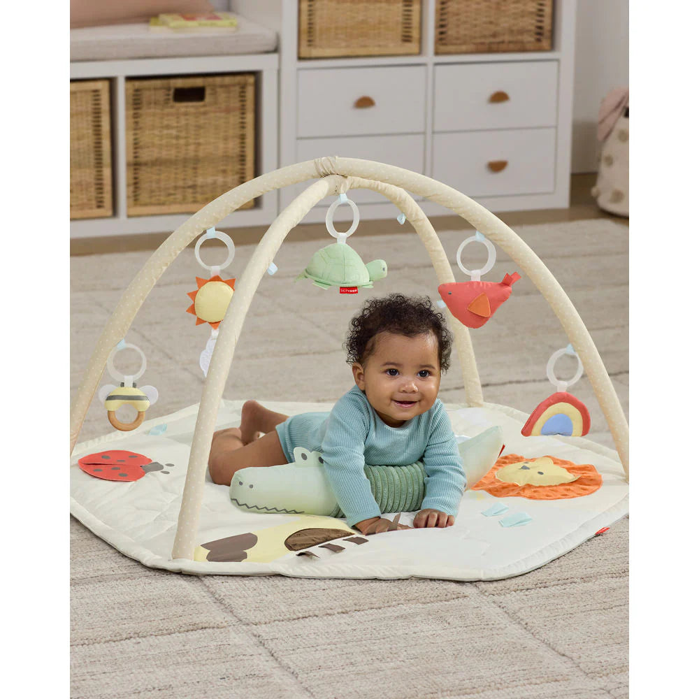 Skip Hop Geometric Wonders Activity Gym 