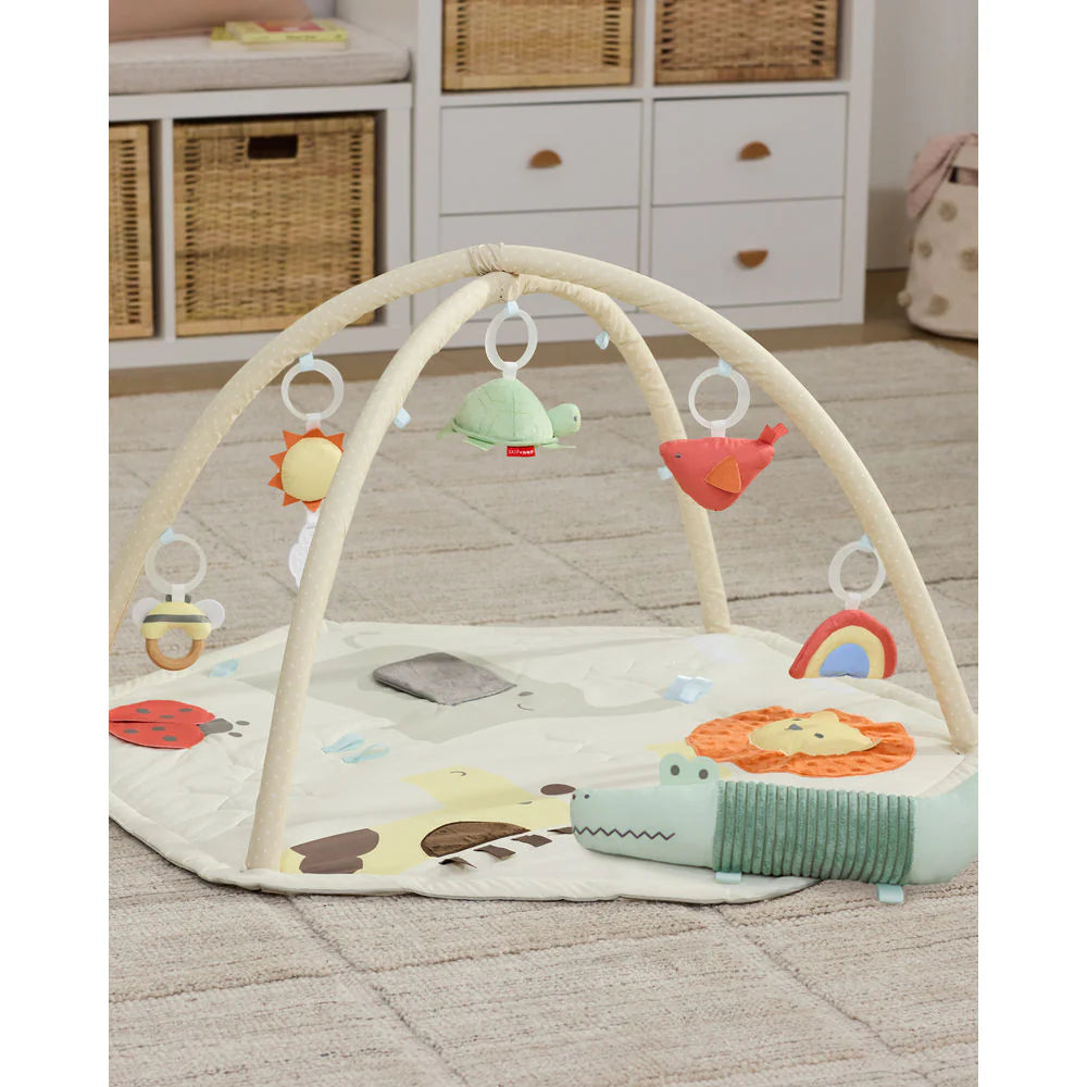 Skip Hop Geometric Wonders Activity Gym 
