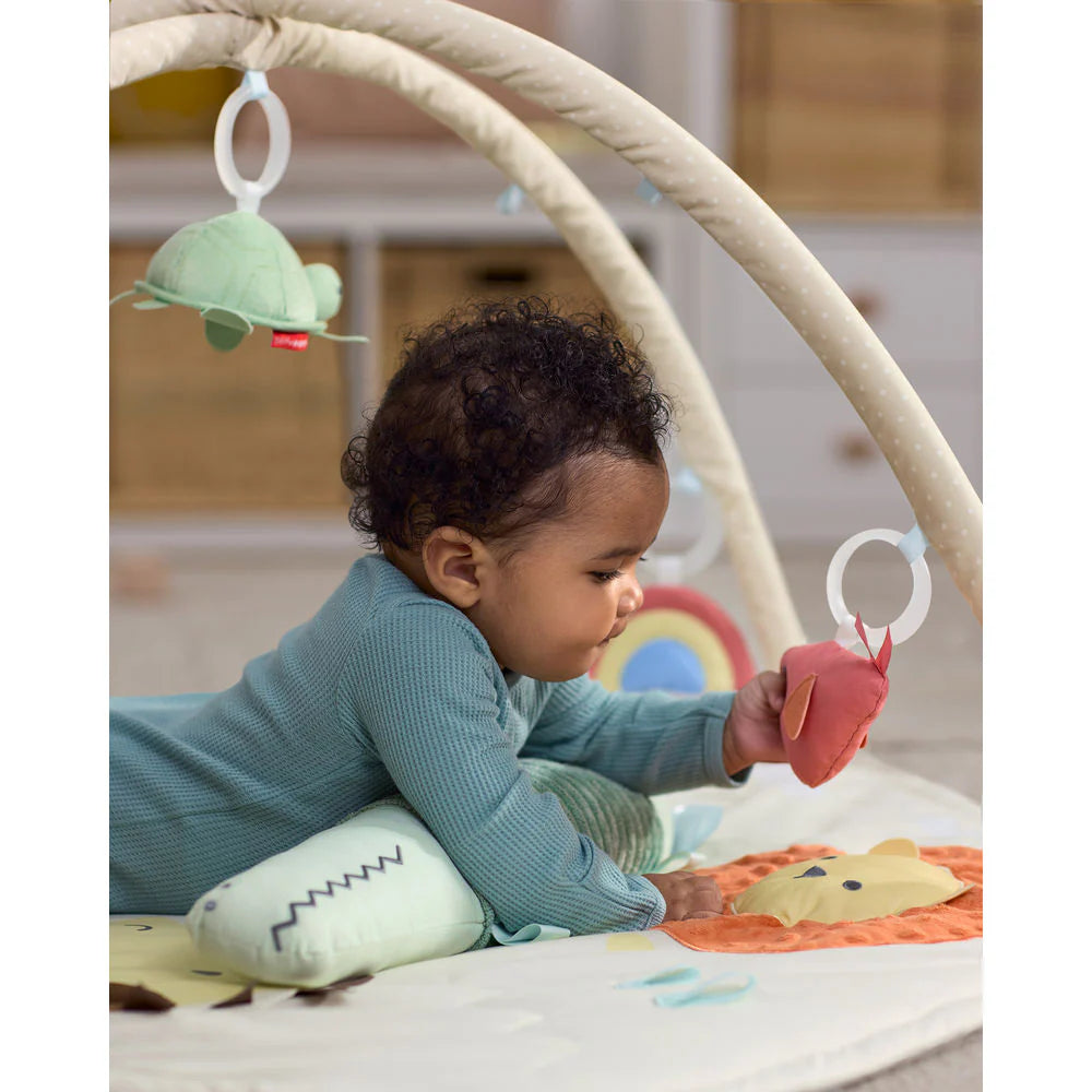 Skip Hop Geometric Wonders Activity Gym 