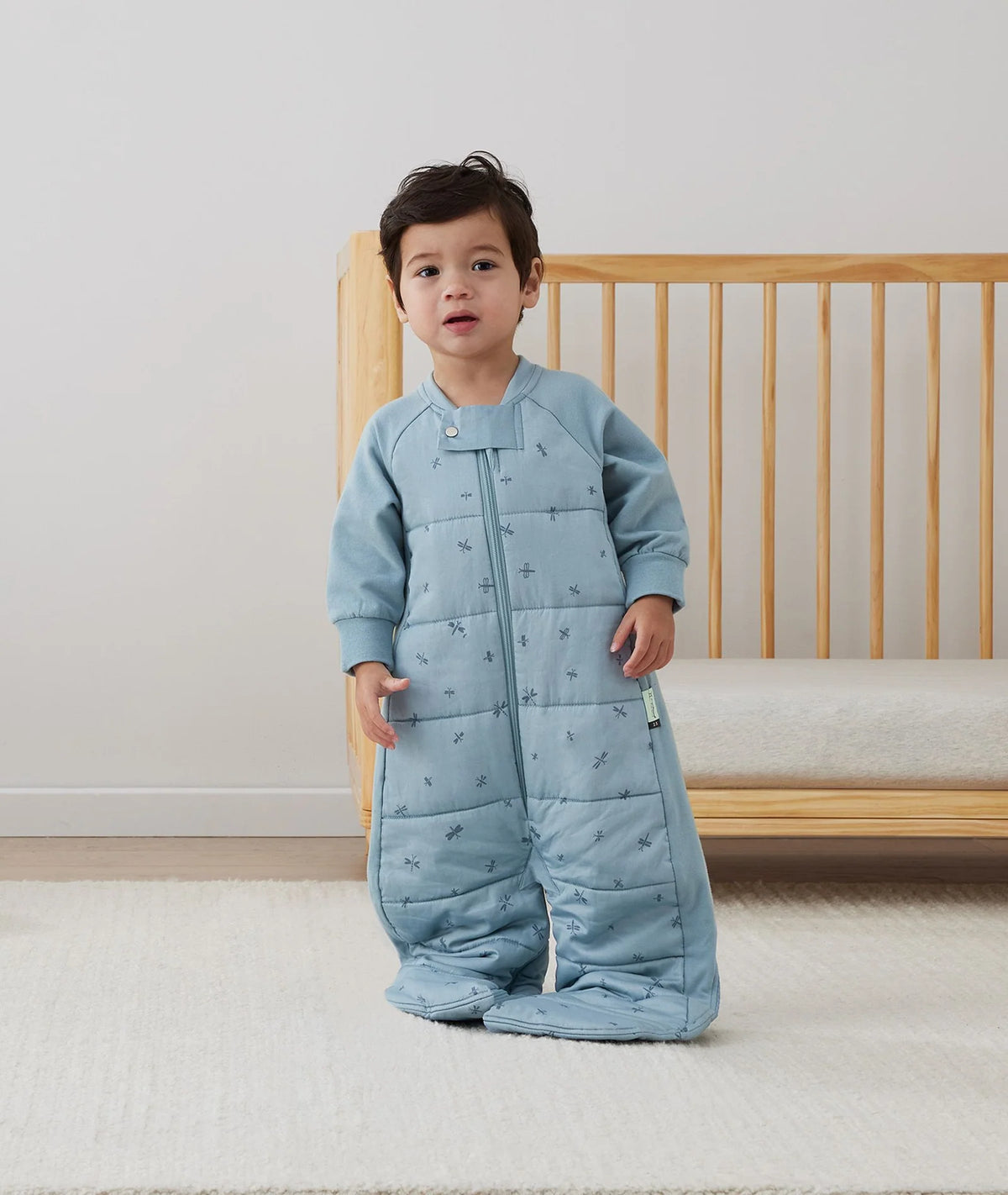 Ergopouch Sleep Suit Bag 2.5 TOG | Dragonflies