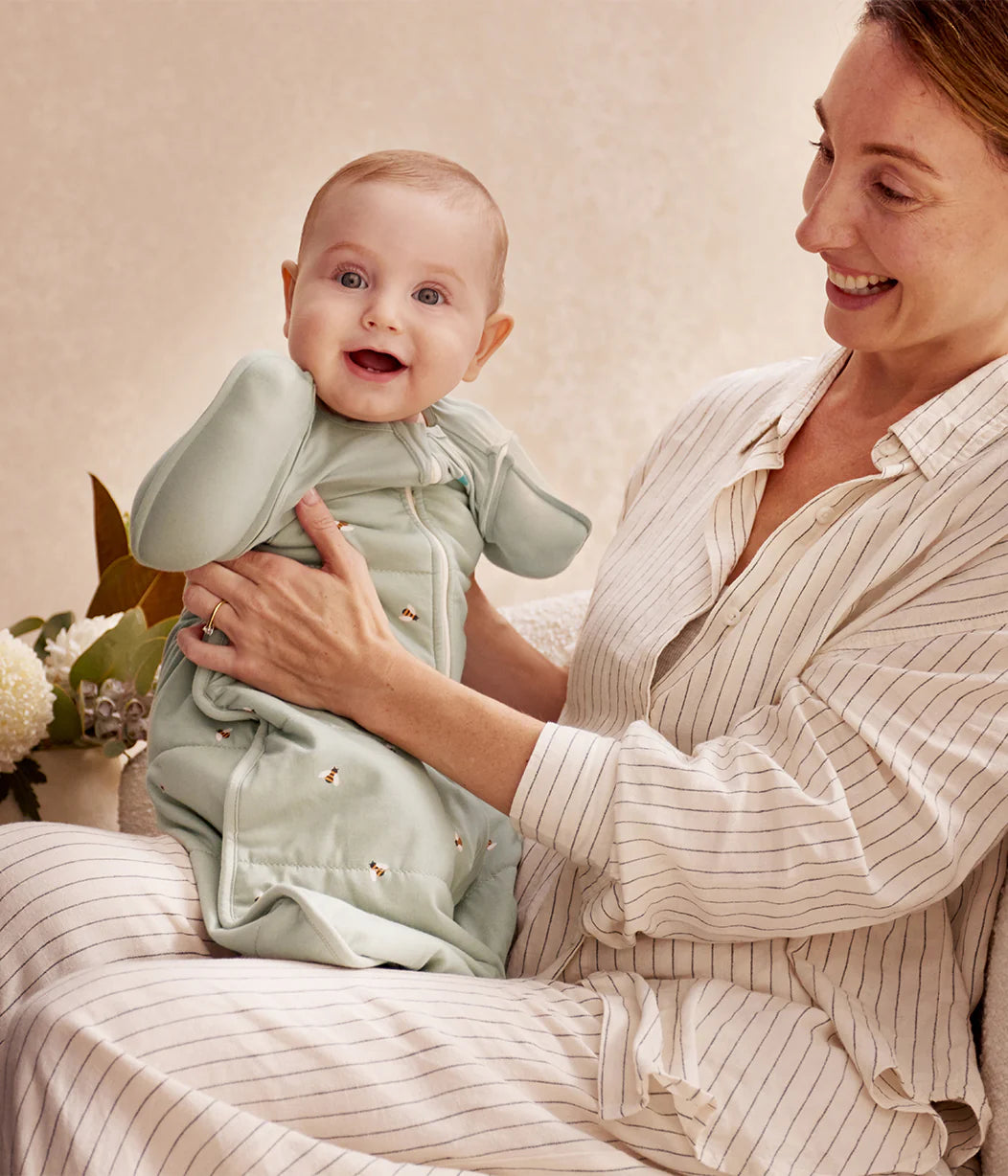 Love To Dream Swaddle Up Transition Bag 2.5 TOG -Olive Bees 
