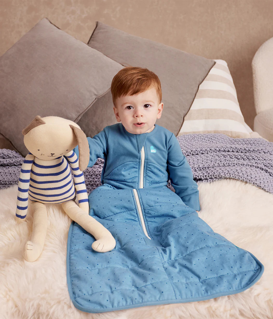 Love To Dream Sleep Bag 2.5 TOG Long Sleeve | STORM BLUE 