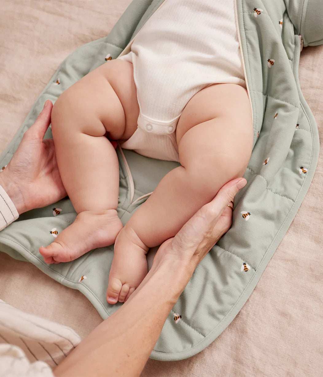 Love To Dream Swaddle Up Transition Bag 2.5 TOG -Olive Bees 